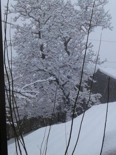 φωτό από facebook