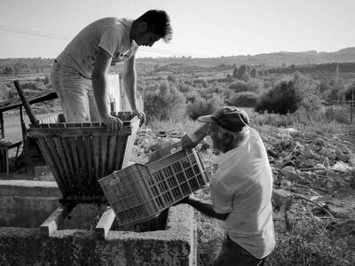 Τον Ειδικό Φόρο Κατανάλωσης στο κρασί ακ...
