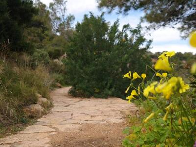 Πάτρα:Καθαρισμός στο Άνω Κατρίτσι το Σάβ...