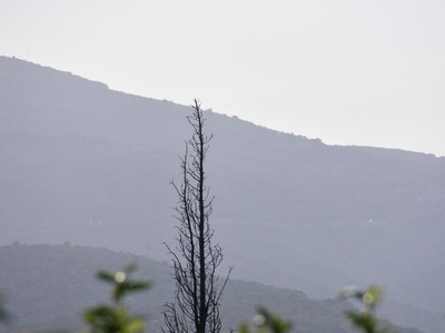 Καιρός: Αφρικανική σκόνη και θερμοκρασία...