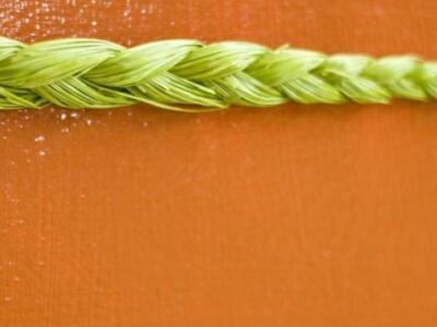 Hierochloe odorata: Γνωρίστε το ισχυρό α...