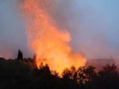 Λάλα Ηλείας