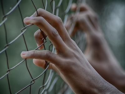 Όσα περισσότερα φυτά έχει μία φυλακή, τό...