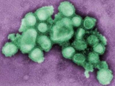 Θερίζει ακόμη η νέα γρίπη