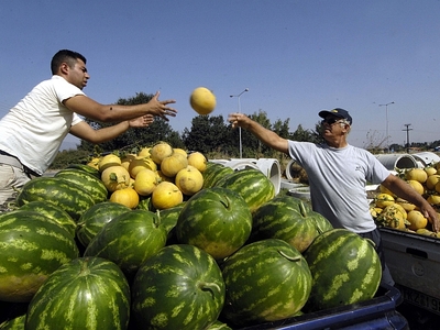 Υπέρ των αγροτών ο Άρειος Πάγος