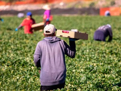 Κενές περισσότερες από 70.000 θέσεις εργ...