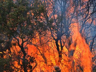 Δυτική Ελλάδα: Φουντώνουν λιοστάσια και ...