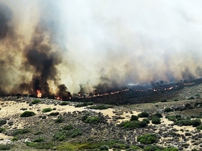 Γιατί «ξέφυγε» η φωτιά στην Παλαιά Φώκαι...