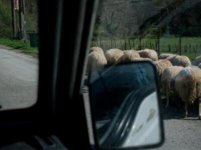 Ο Λάμπρος Γιώτης ξυπνά κάθε Κυριακή και ...