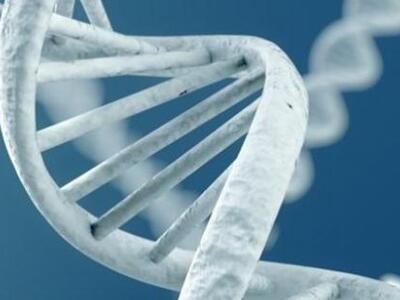 Ανακαλύφθηκε γονίδιο που αυξάνει τον κίν...