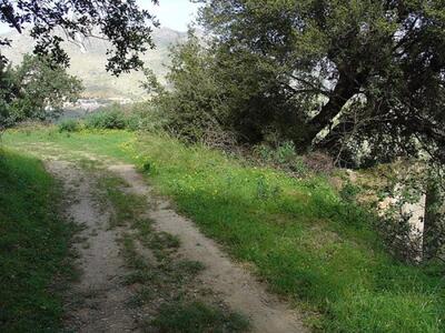 Παγίδες με υδροκυάνιο σε δάση της Ηλείας