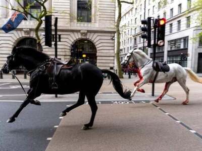 Αναστάτωση στο Λονδίνο - Άλογα κάλπαζαν ...