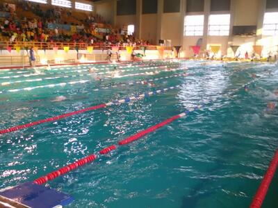 ΝΕΠ: Δείτε τις επιδόσεις των "δελφι...