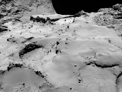 Τί κάνει ο άνθρωπος; Αυτά είναι τα 10 κο...