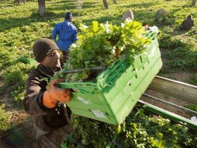 Δυτική Ελλάδα: 15,5 εκατομμύρια ευρώ για...