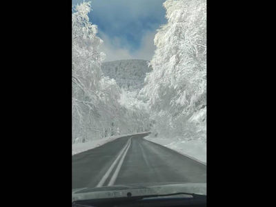 Ο πιο μαγευτικός δρόμος της Ελλάδας -Πού...