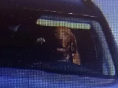 Σλοβακία: Σκύλος ήταν στο τιμόνι αυτοκίν...