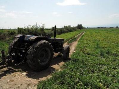 Δάνεια με χαμηλό επιτόκιο για 7.000 αγρό...