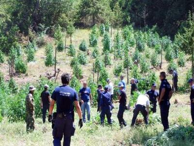 Ηλεία: Πατέρας και γιος είχαν στήσει επι...