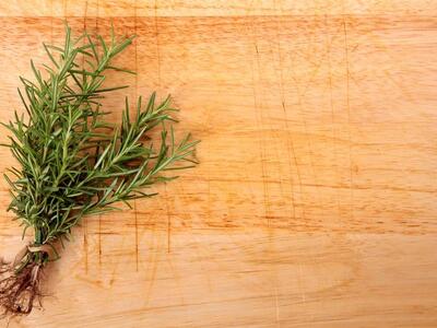 Θεσσαλονίκη: Συνταξιούχος έκοψε κλαδάκι ...