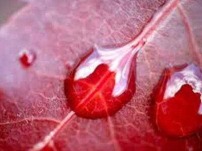 Μάθετε το κρυφό μήνυμα που περιέχει κάθε ασθένεια