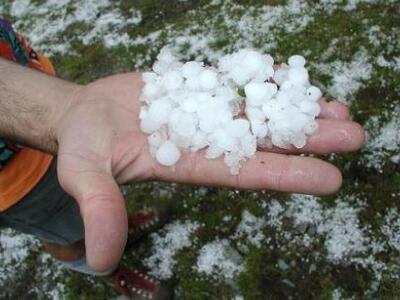 Ηλεία: Μεγάλες ζημιές στις αγροτικές καλ...