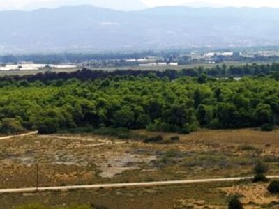 Νίκος Τσούκαλης: Να γιατί καλλιεργούνται...