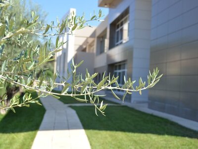 Οι άνθρωποι των Εκπαιδευτηρίων Κοτρώνη, ...