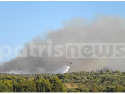 Ηλεία: Ερευνάται το ενδεχόμενο εμπρησμού...