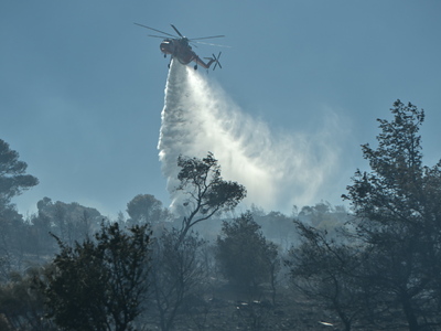 Εύβοια: Μία σύλληψη για την χθεσινή φωτι...