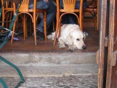 Πάτρα: Καταγγέλλει οτι την έδιωξαν απο κ...