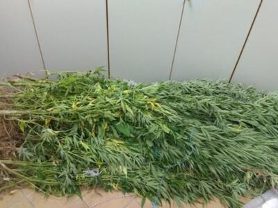 Δέκα χρόνια φυλάκιση στον 51χρονο δημοτι...