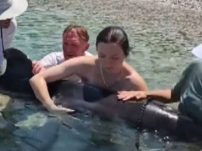 Κεφαλονιά: Επιχείρηση διάσωσης τραυματισ...