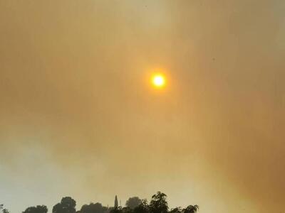 Περιστερι Ηλείας