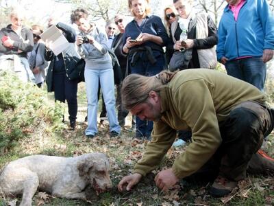 Τρεις χιλιάδες Έλληνες παίρνουν τα βουνά...