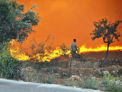 Τεράστιο μπαράζ εμπρησμών στη Ζάκυνθο, σ...
