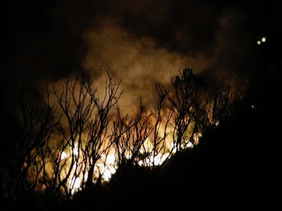 Φωτιά στην Εύβοια στην περιοχή Λιβάρι