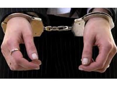 Αμαλιάδα: Συνελήφθη 52χρονη για απάτες-Ε...