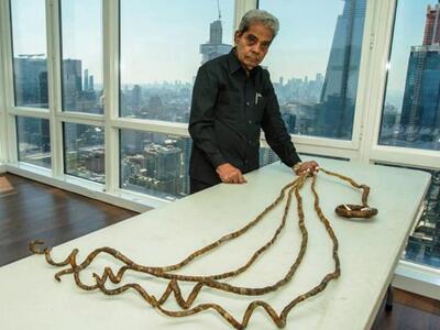 Απίστευτο κι όμως αληθινό: Έκοψε τα νύχι...