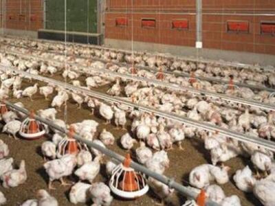 Γαλλία: Ιδιαίτερα ανθεκτικός ένας μεταλλ...