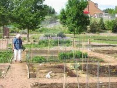 Πάτρα: 50 τετρ. μέτρα σε κάθε άπορο δικα...