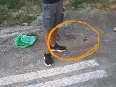 ΠΑΤΡΑ: Ξυλοκοπούσαν με ραβδιά σκαντζόχοιρους στον Φάρο! ΦΩΤΟ ΠΑΤΡΑ: Ξυλοκοπούσαν με ραβδιά σκαντζόχοιρους στον Φάρο! ΦΩΤΟ