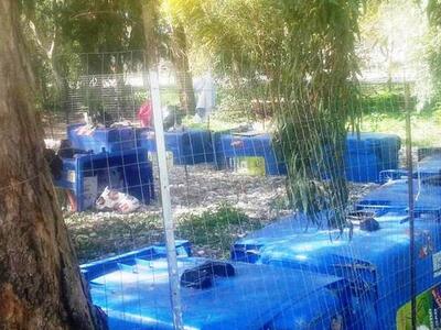 Πάτρα: Μύρισε άνοιξη και οι έγκλειστες γ...