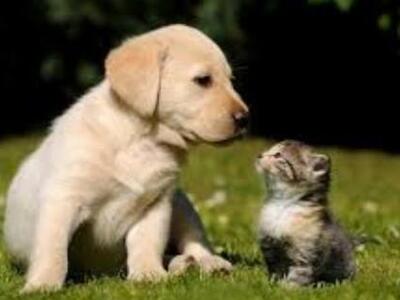 Τσουχτερά πρόστιμα από 100 μέχρι 30.000 ...