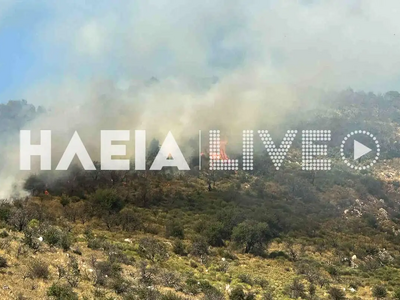 Οριοθετήθηκε η φωτιά στη Σπαρτουλιά Ηλείας