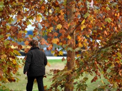 Σταδιακή ...άφιξη του Φθινοπώρου από σήμ...