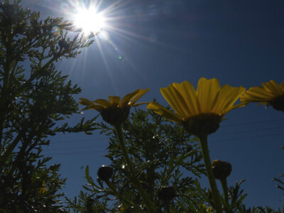 Έδειξε 36 το θερμόμετρο σήμερα- Άστατος ...
