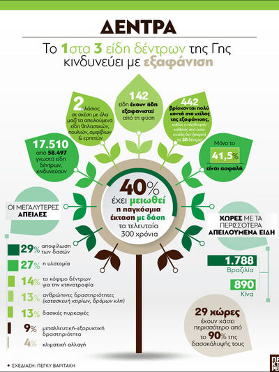 Γη: Το 1 στα 3 είδη δέντρων κινδυνεύει μ...