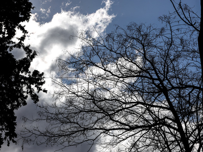 Με άστατο καιρό πάμε στις κάλπες - Πρόσκ...