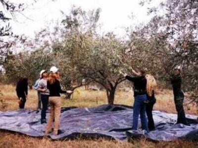 Αγρίνιο: Στρατηγικό Σχέδιο αειφόρου ανάπ...